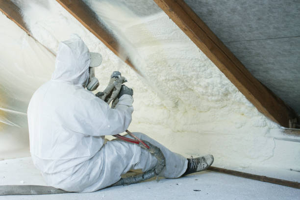 Best Basement Insulation  in Carrollton, OH