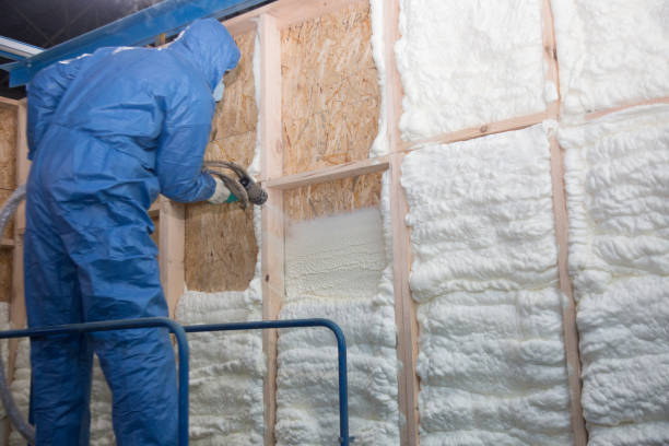 Best Batt and Roll Insulation  in Carrollton, OH